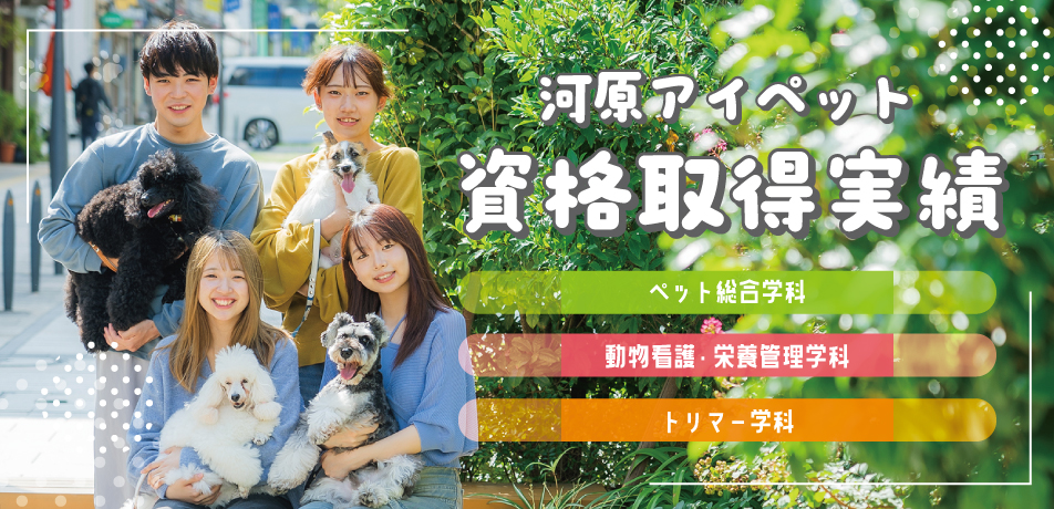 資格取得実績