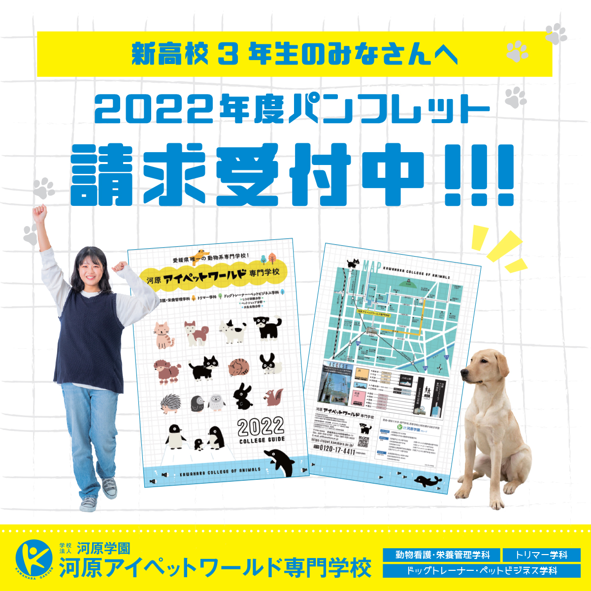 トリマー 服装 トリマー 服装