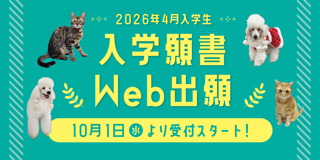 2026年度☆入園入学セット☆名入れ可能☆サイズや形のご相談受付中